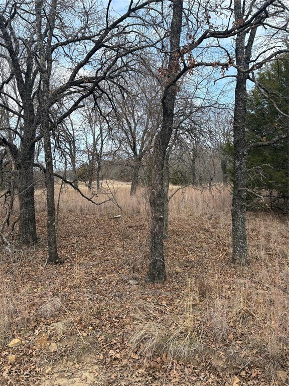 454 Ranchview Court Bowie, TX 76230 - Photo 4 of 9 Heavily treed location