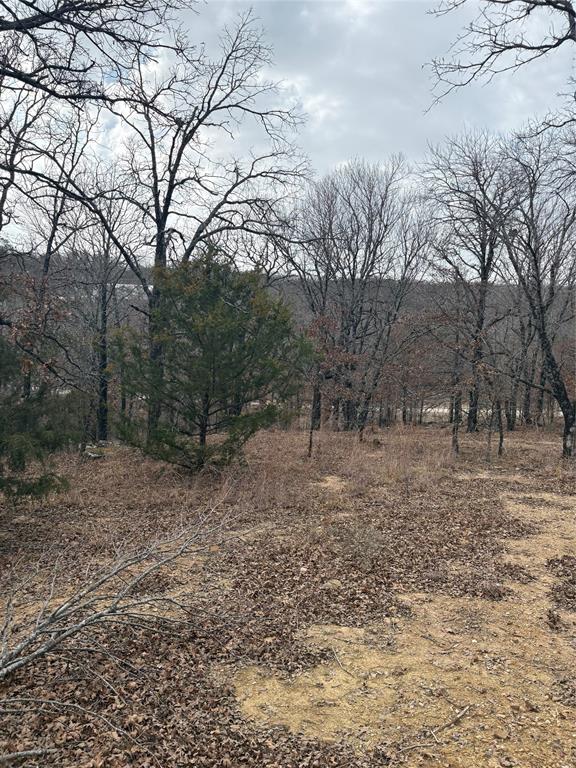 454 Ranchview Court Bowie, TX 76230 - Photo 5 of 9 View to road from homesite