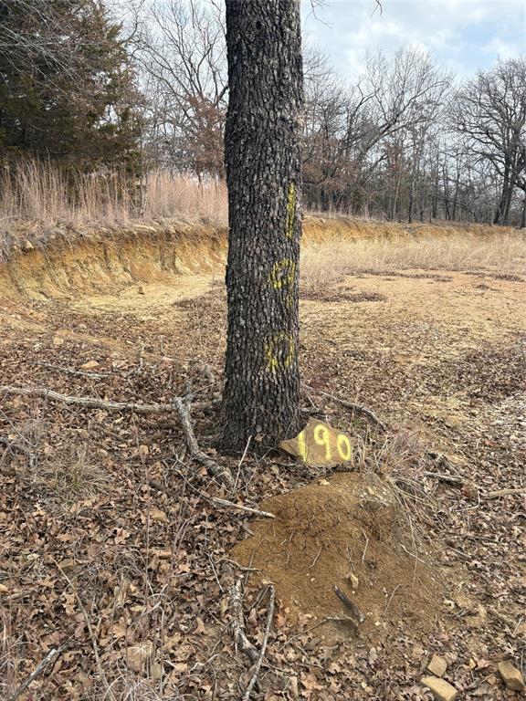 454 Ranchview Court Bowie, TX 76230 - Photo 7 of 9 backside of homesite