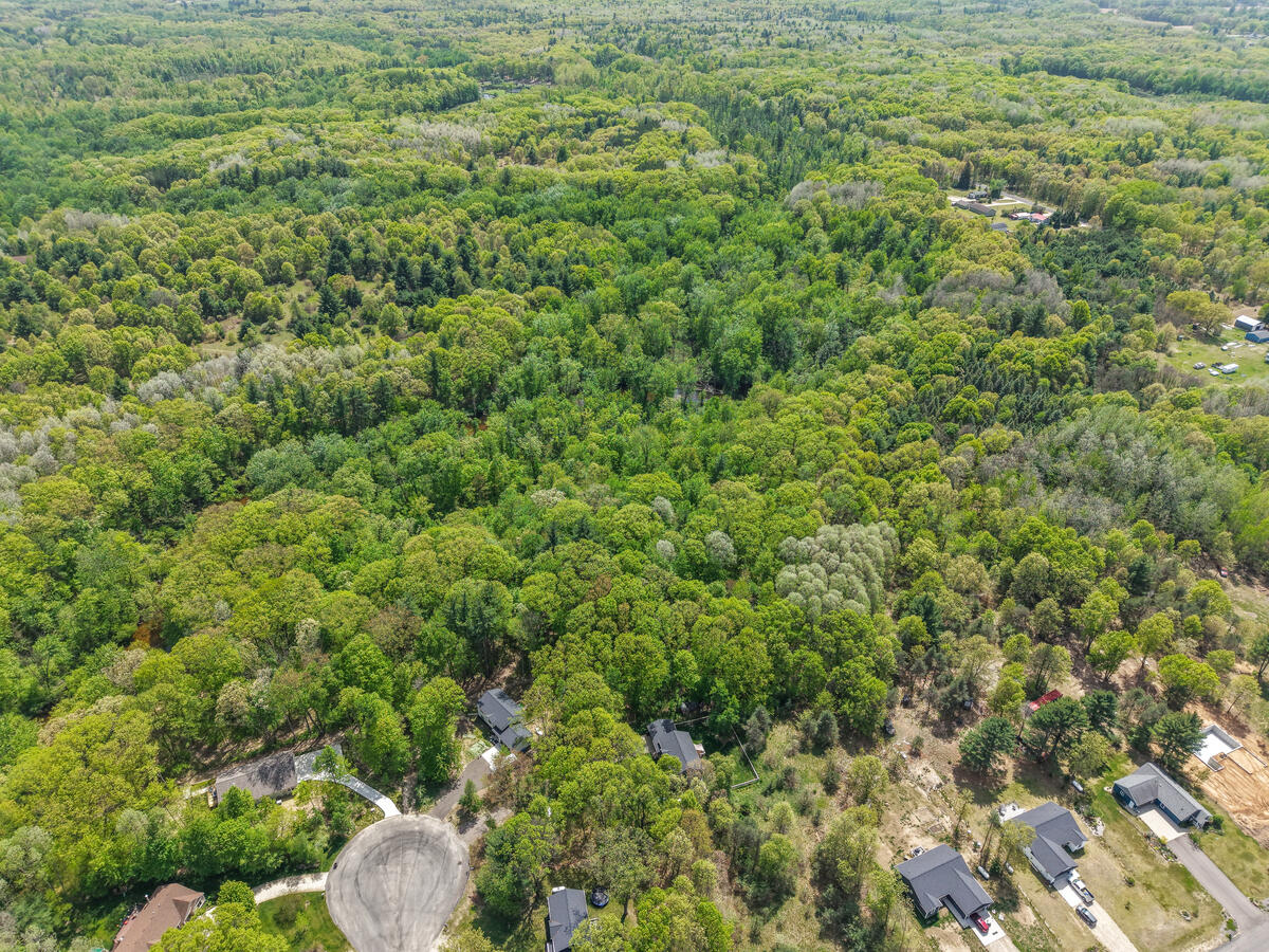 West County Line Road Gowen, MI 49326 - Photo 6 of 26 11629-Crimson-Creek_212
