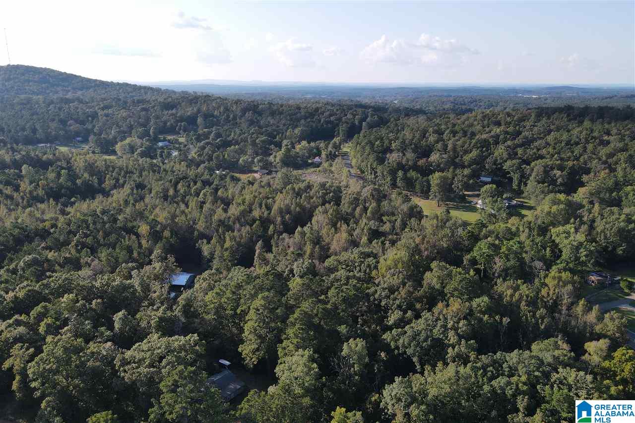 720 Valley Road Talladega, AL 35160 - Photo 38 of 38