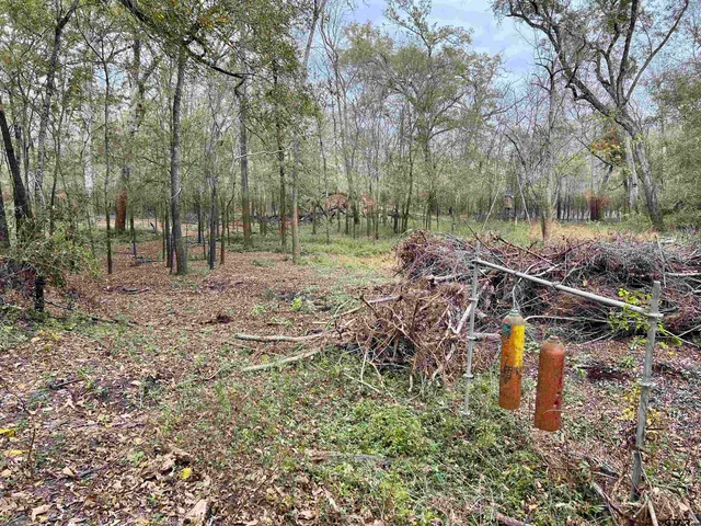 a childrens park with lots of trees
