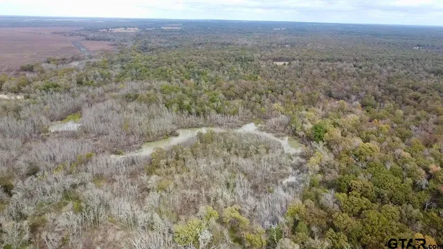 a view of a dry yard with green space and trees