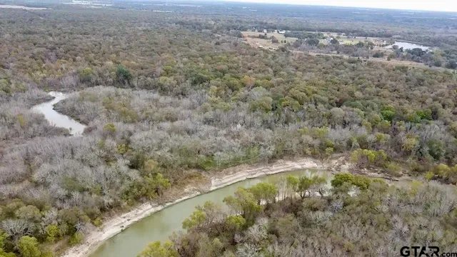 a view of a field with trees in background