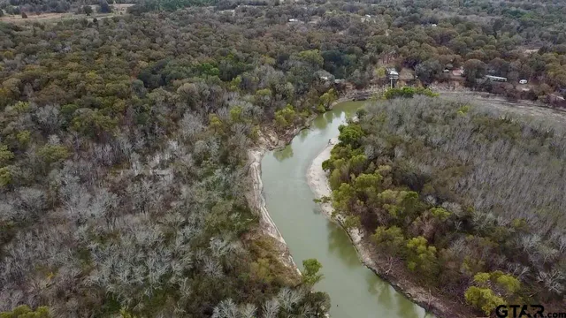 a view of a lake with large trees