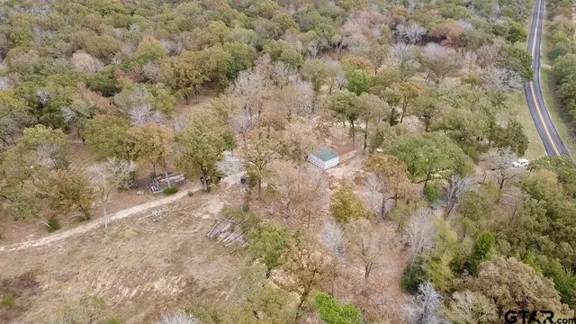a view of a dry yard with green space