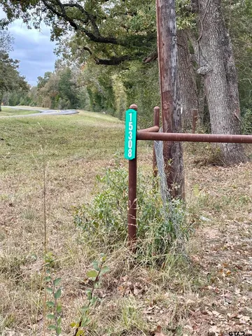 a view of a forest with a lake view