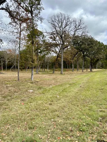 a backyard of a house with lots of green space and trees