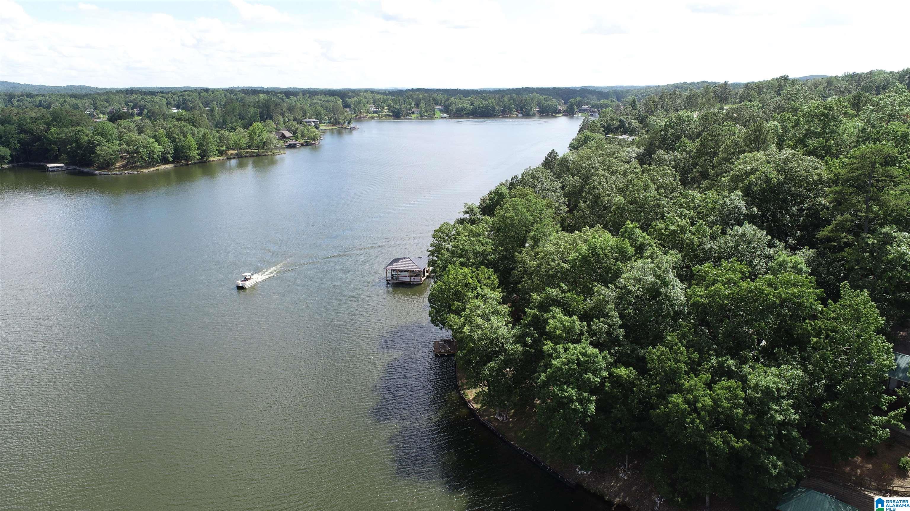 465 Jeans Way Wedowee, AL 36278 - Photo 16 of 16