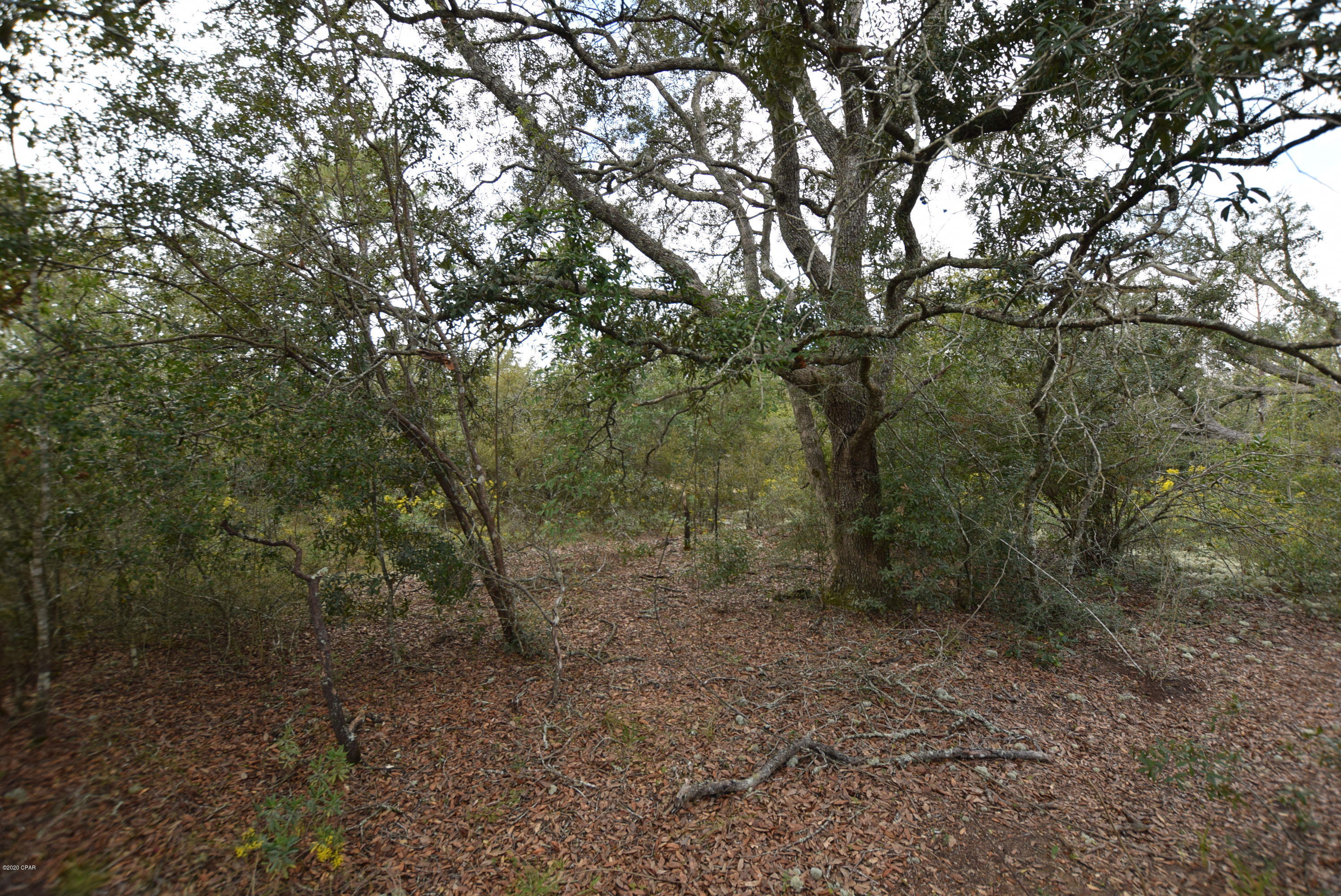 20800 Deep Springs Road Fountain, FL 32438 - Photo 35 of 62 Gallery Image 35