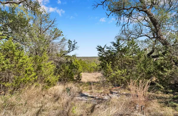 a view of yard with trees