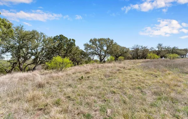a view of a dry yard with trees in the background