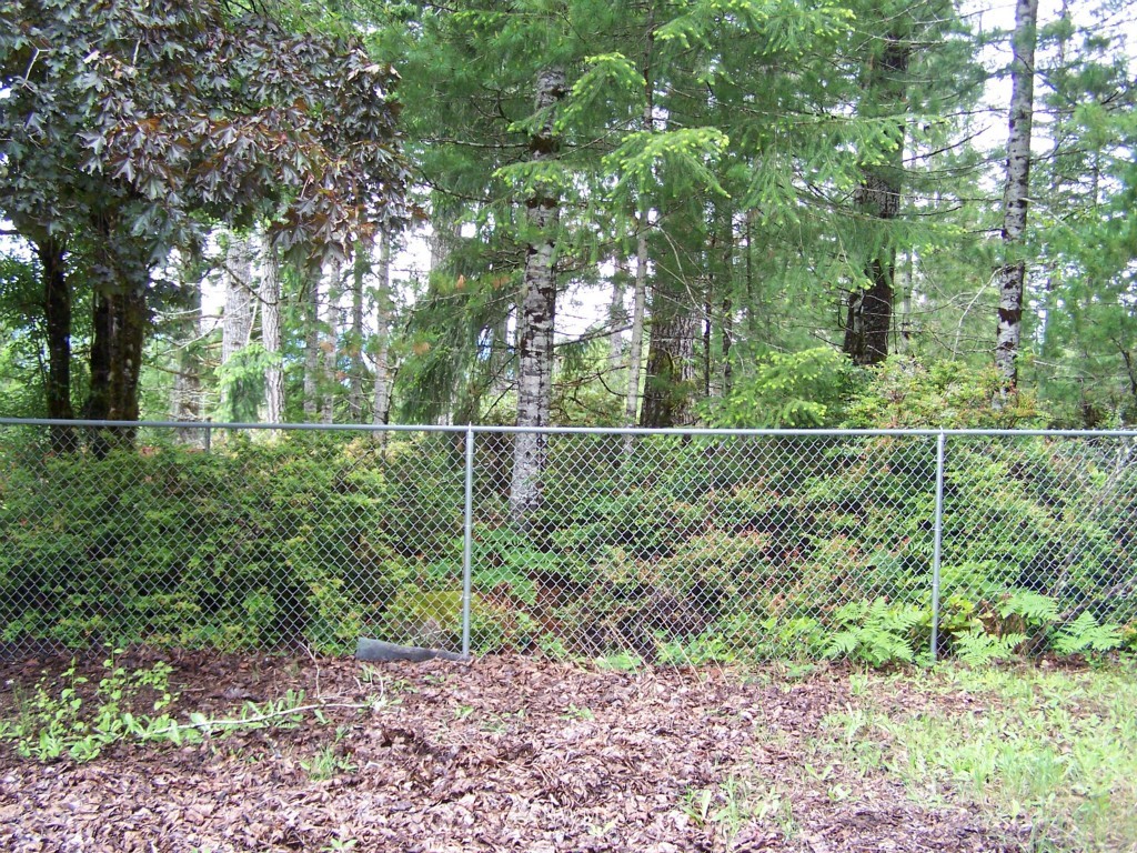 5 East Arellem Rd Union Union, WA 98592 - Photo 1 of 5 Gallery Image 1