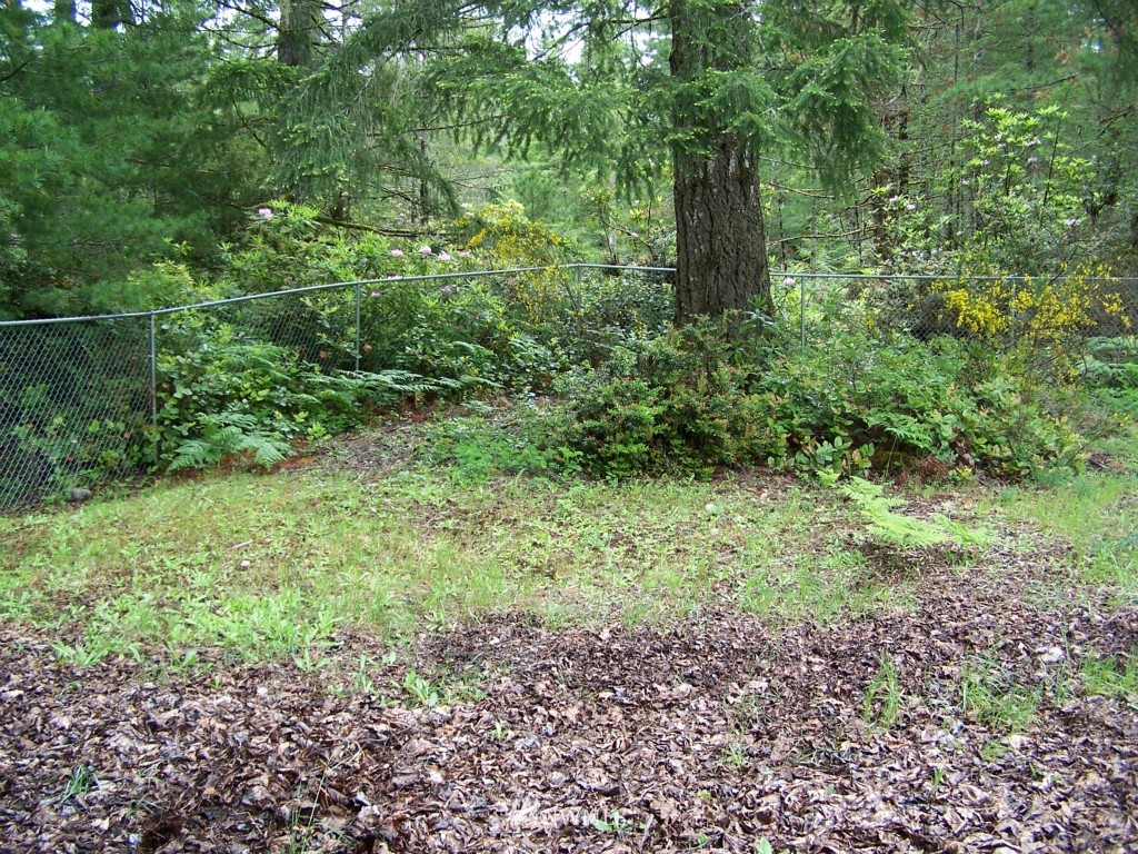 5 East Arellem Rd Union Union, WA 98592 - Photo 3 of 5 Gallery Image 3