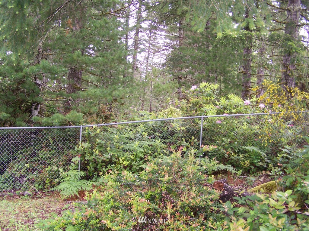 5 East Arellem Rd Union Union, WA 98592 - Photo 5 of 5 Gallery Image 5