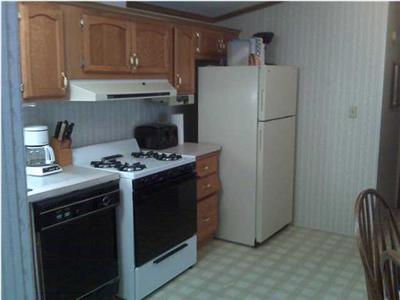 9435 21 Mile Road Northeast Sand Lake, MI 49343 - Photo 4 of 4 Additional Photo