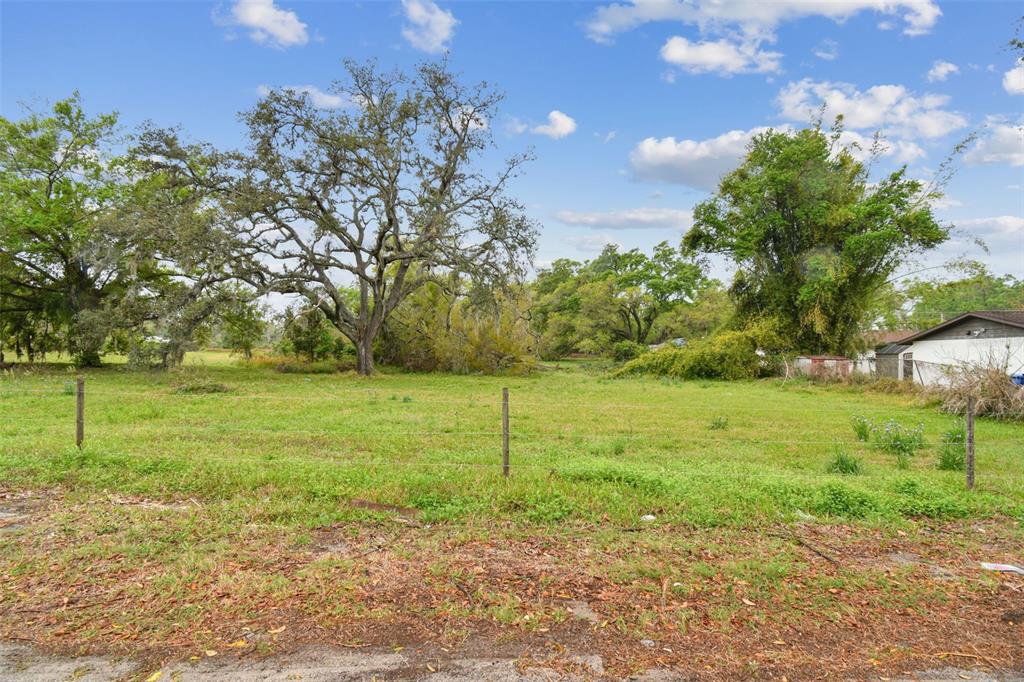 South Taylor Road Seffner, FL 33584 - Photo 1 of 29 a view of a garden with trees