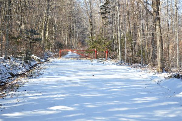 0 Watson Road Becket, MA 01223 - Photo 1 of 3 Gallery Image 1