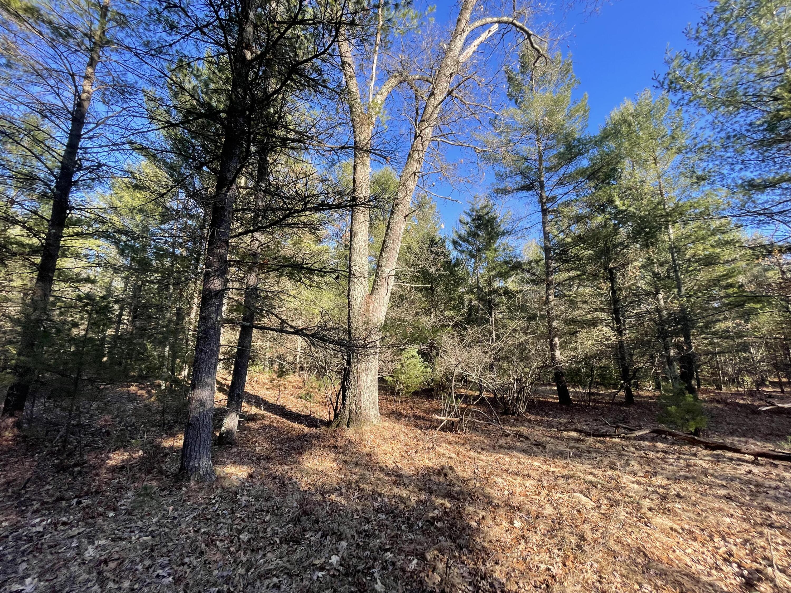 10336 North Stephens Road Free Soil, MI 49411 - Photo 11 of 47 10