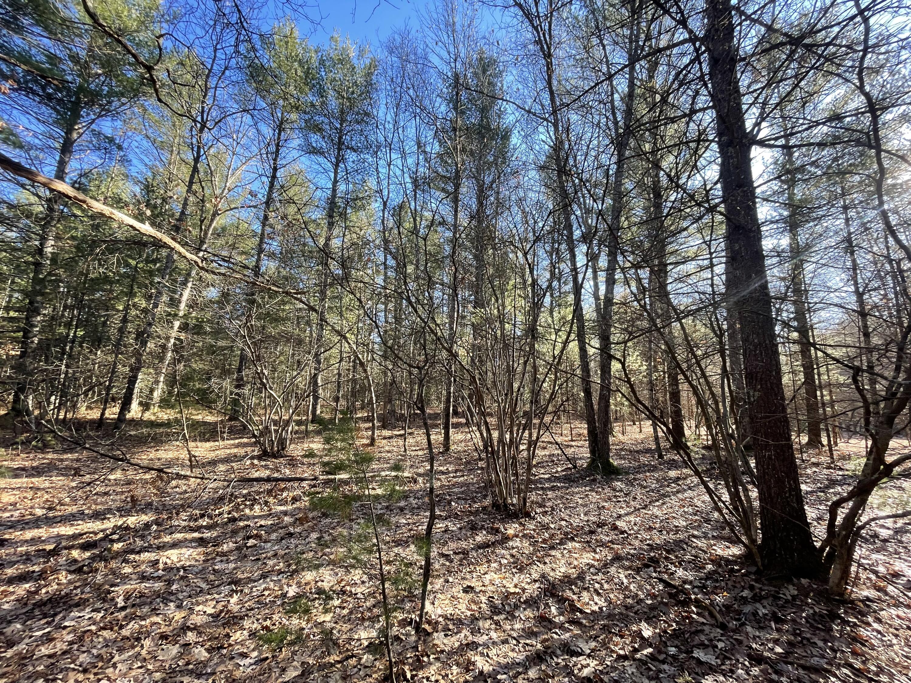 10336 North Stephens Road Free Soil, MI 49411 - Photo 13 of 47 12