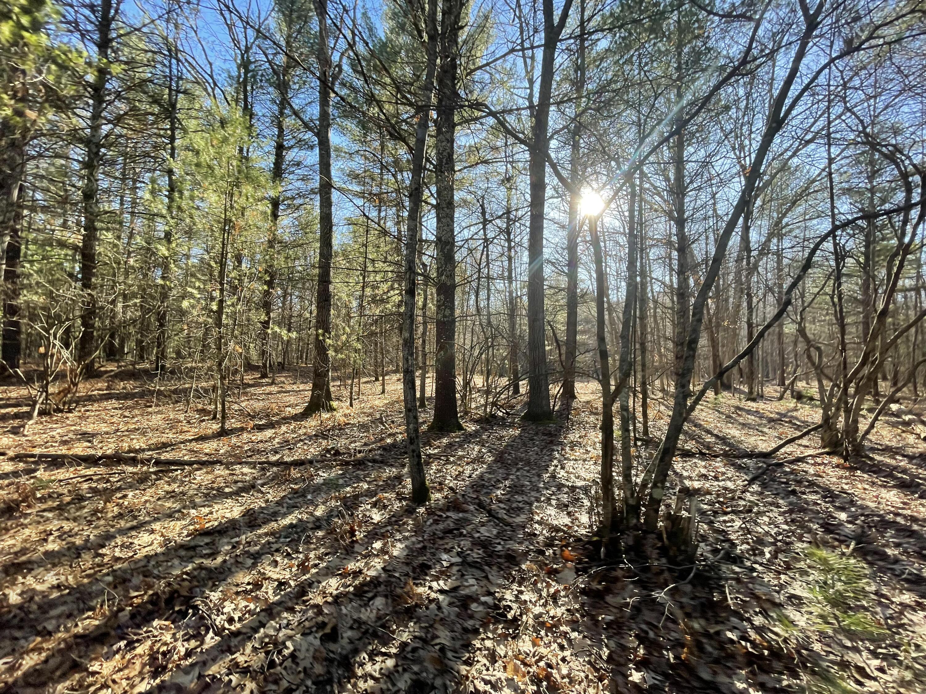 10336 North Stephens Road Free Soil, MI 49411 - Photo 14 of 47 13