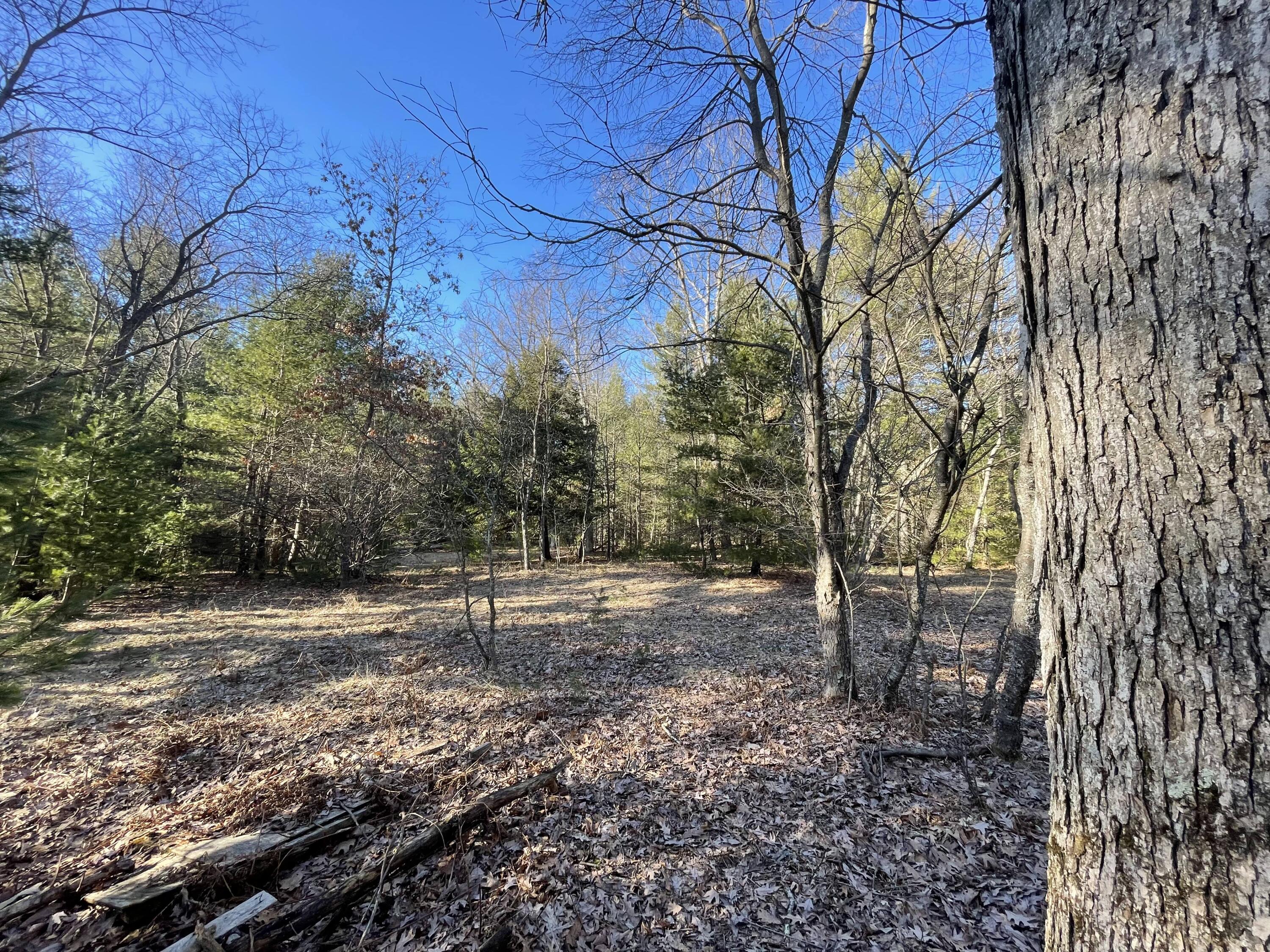 10336 North Stephens Road Free Soil, MI 49411 - Photo 15 of 47 14