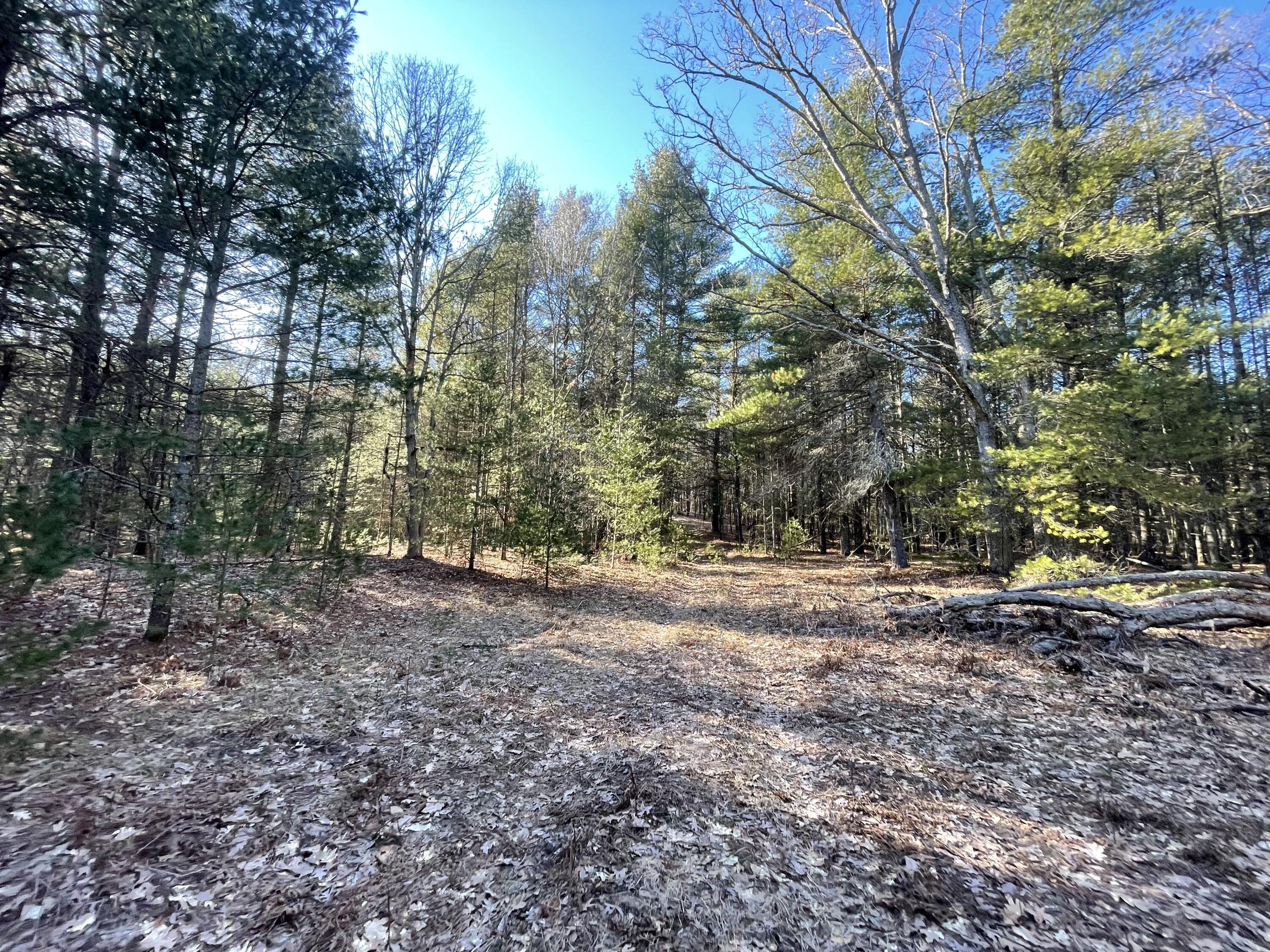 10336 North Stephens Road Free Soil, MI 49411 - Photo 16 of 47 15