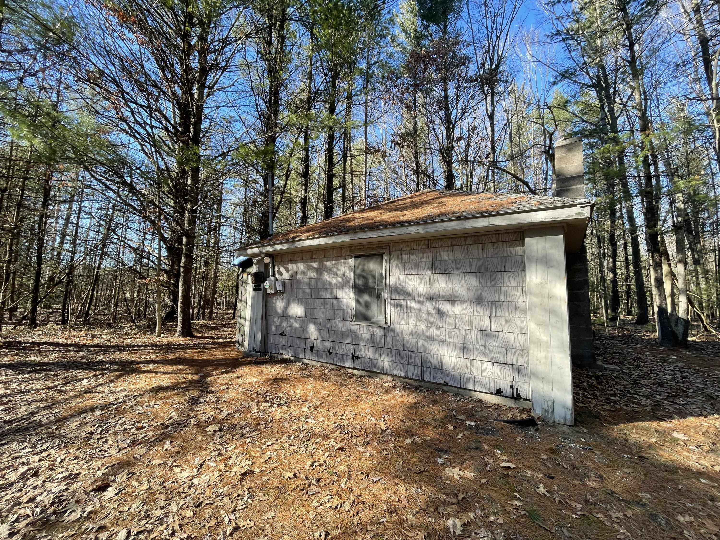 10336 North Stephens Road Free Soil, MI 49411 - Photo 18 of 47 16a