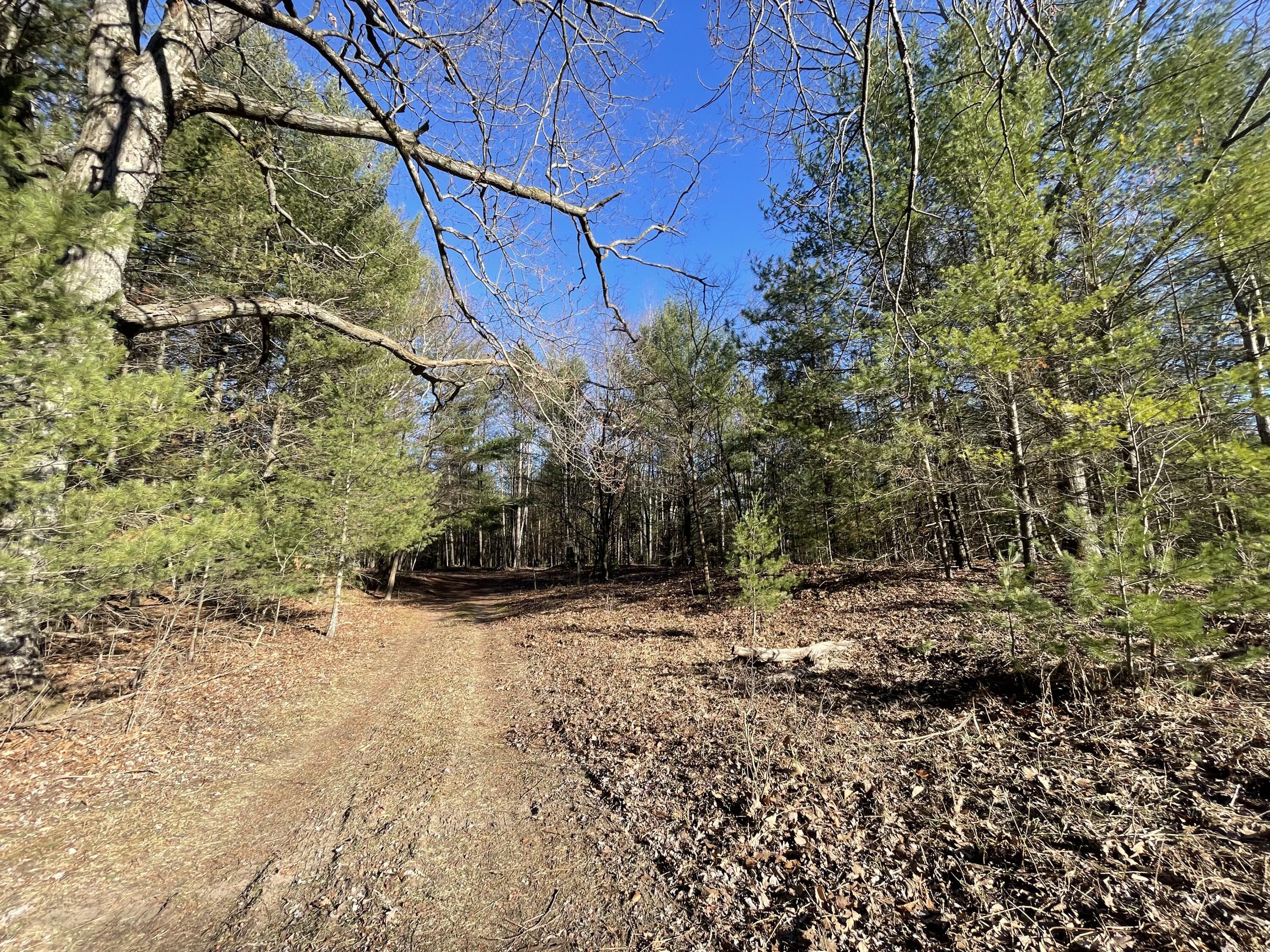 10336 North Stephens Road Free Soil, MI 49411 - Photo 19 of 47 17