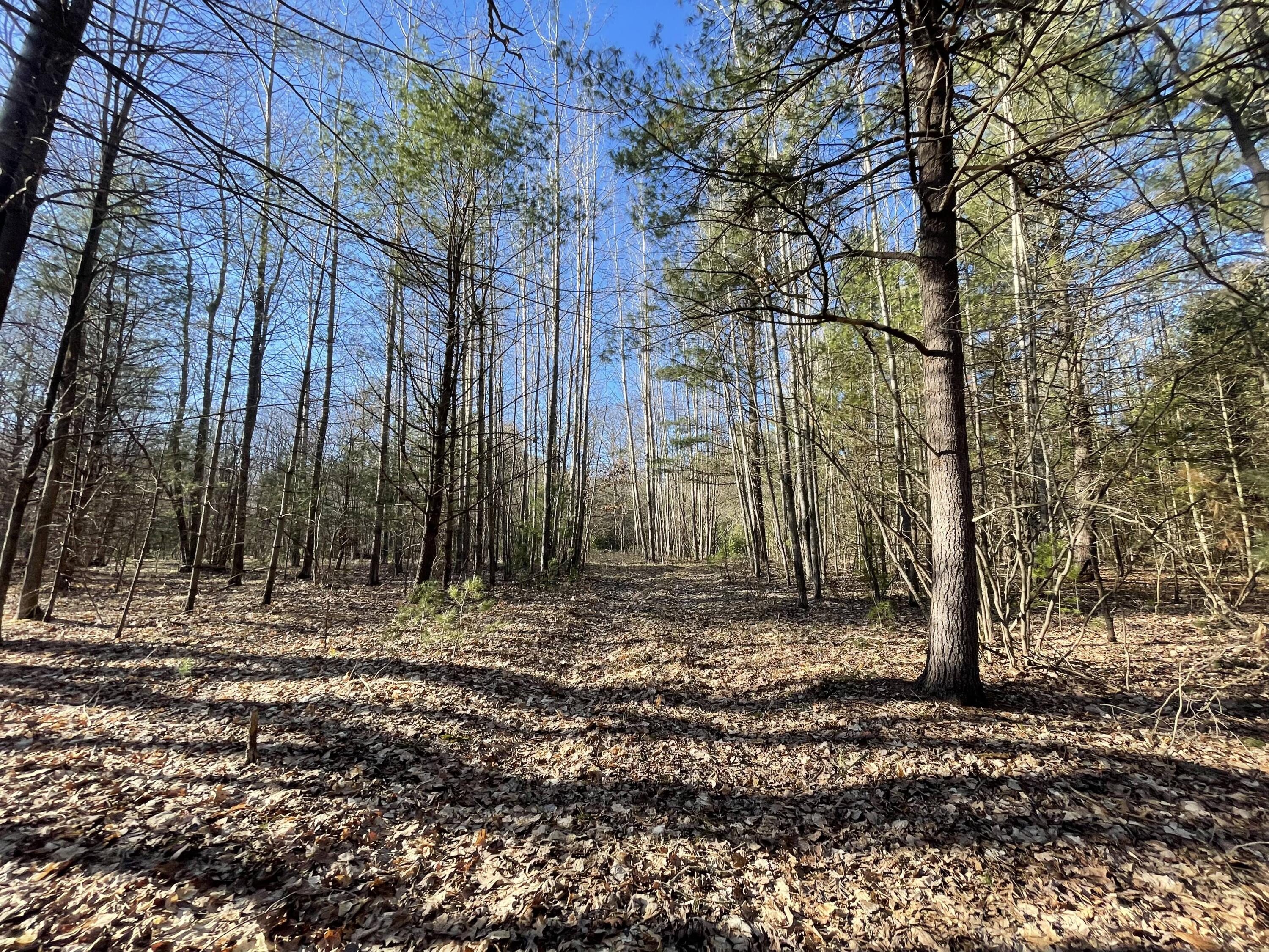 10336 North Stephens Road Free Soil, MI 49411 - Photo 2 of 47 1