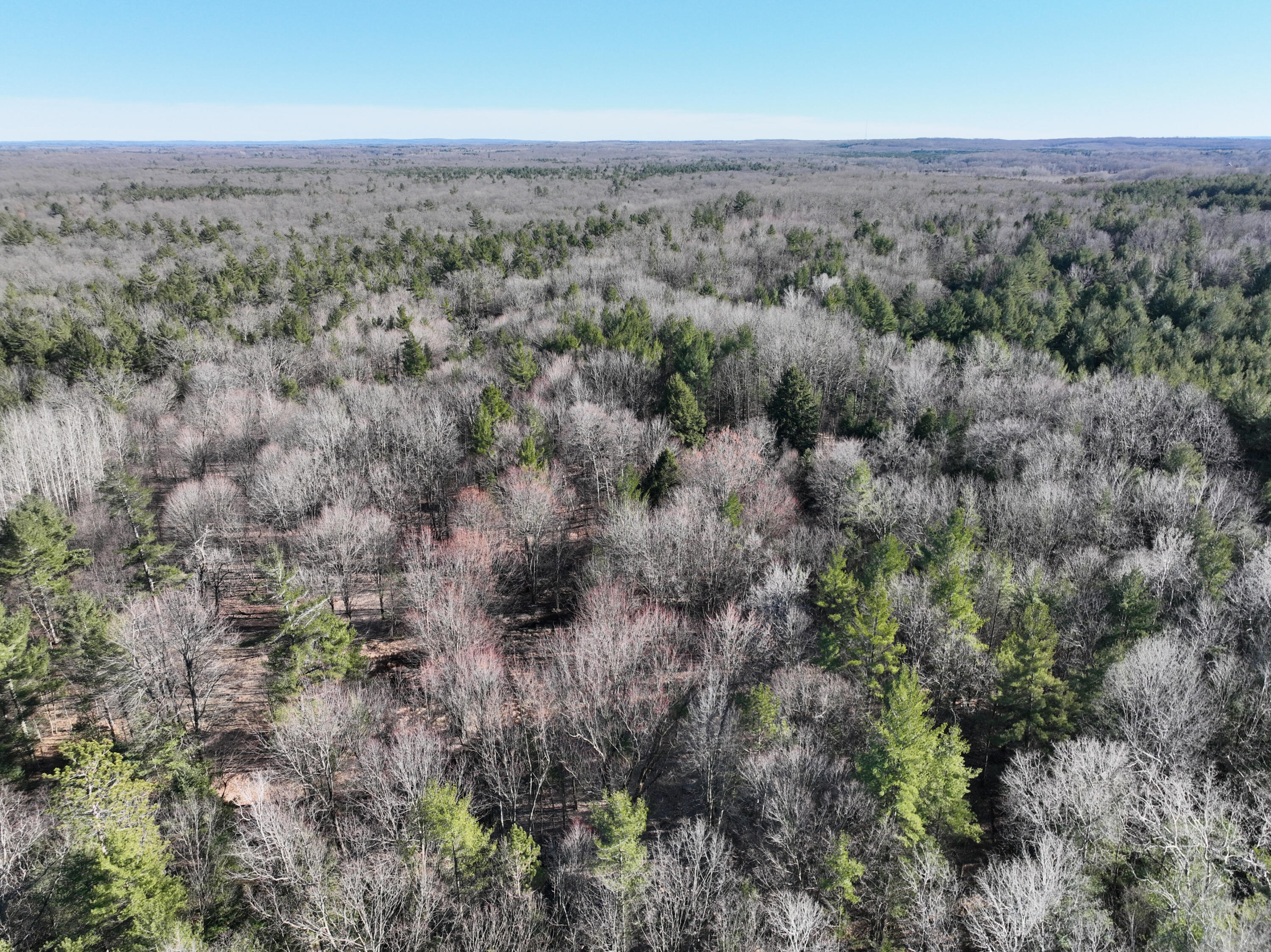 10336 North Stephens Road Free Soil, MI 49411 - Photo 22 of 47 AA