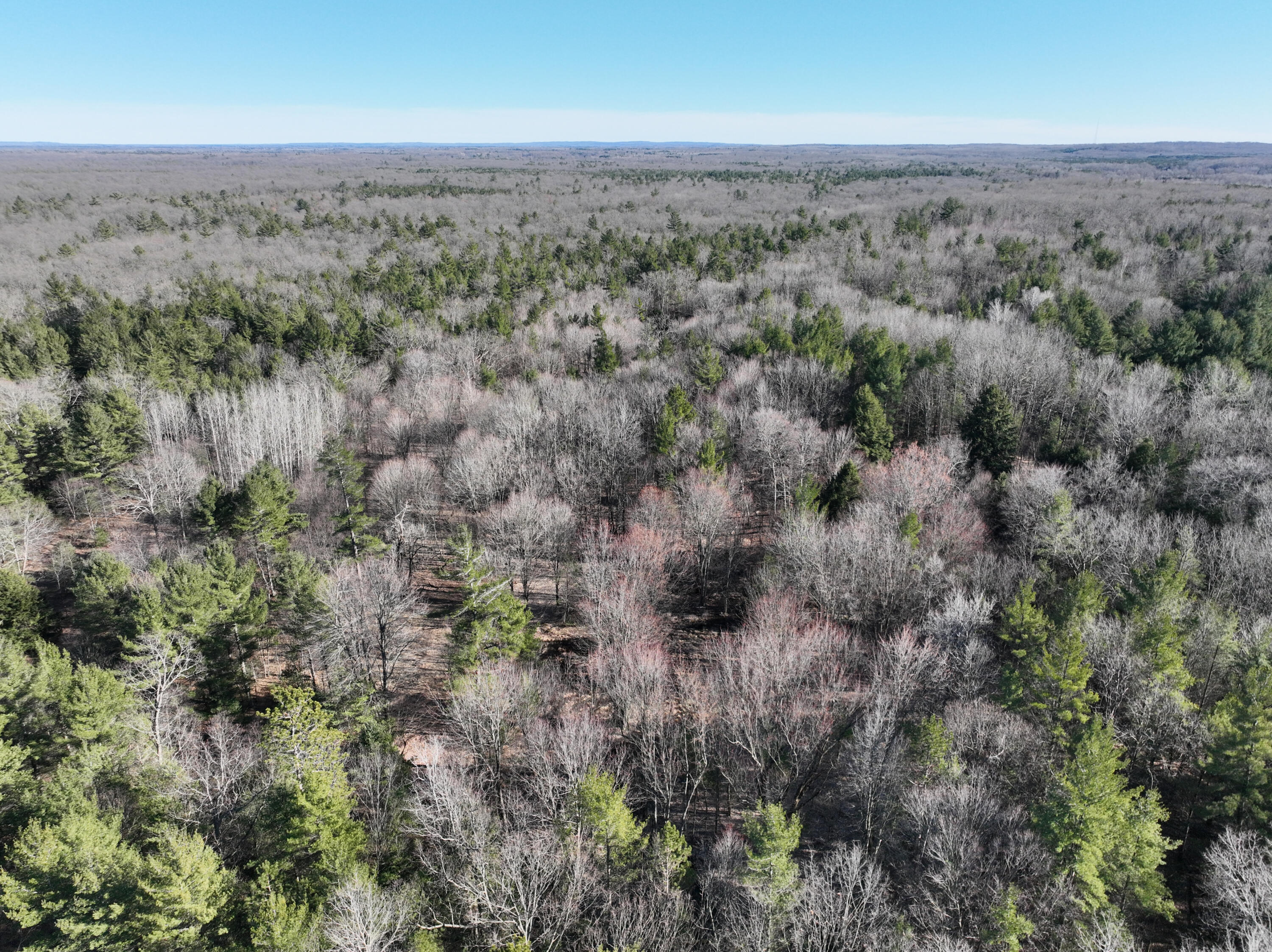 10336 North Stephens Road Free Soil, MI 49411 - Photo 23 of 47 B
