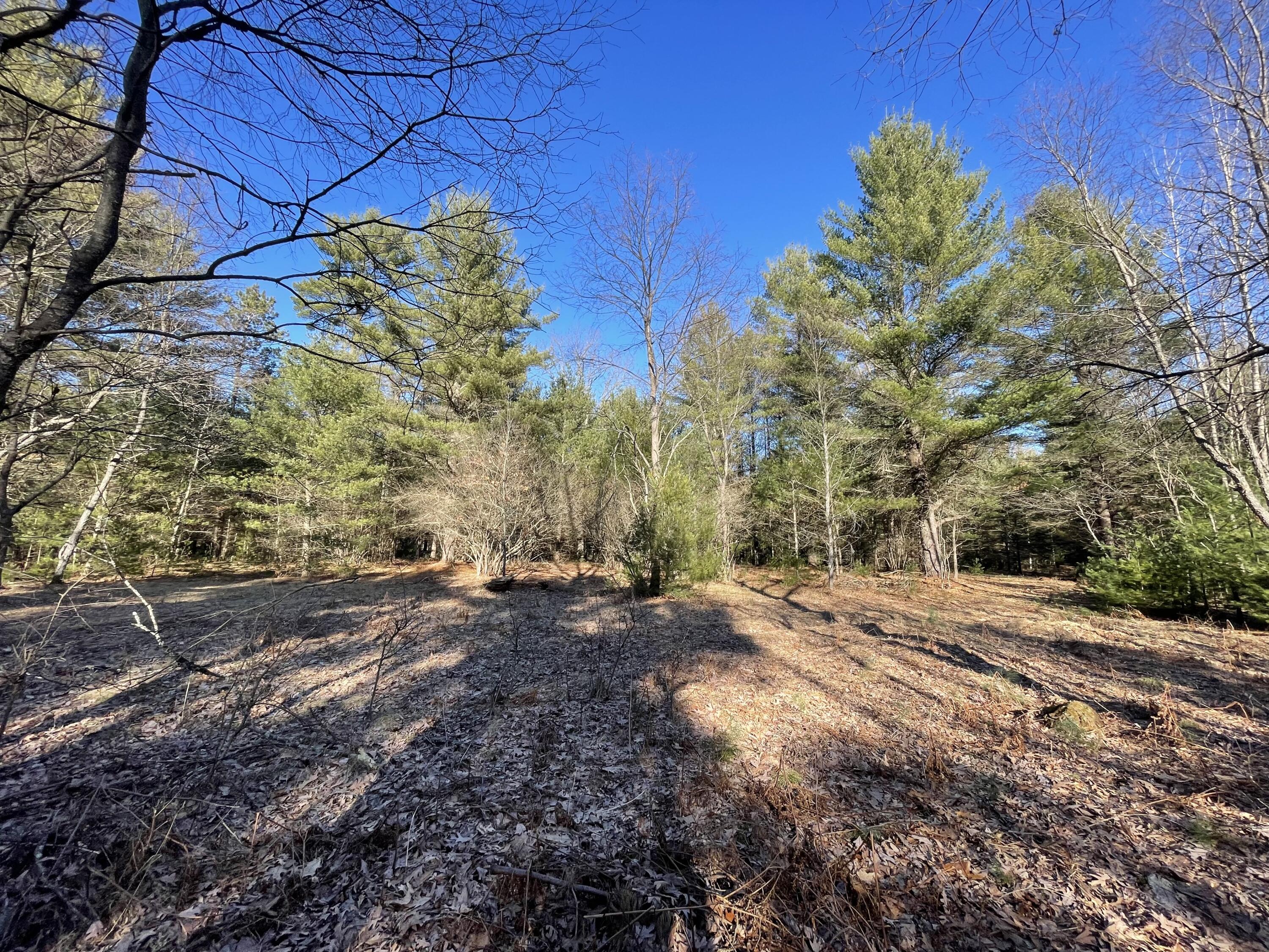 10336 North Stephens Road Free Soil, MI 49411 - Photo 3 of 47 2