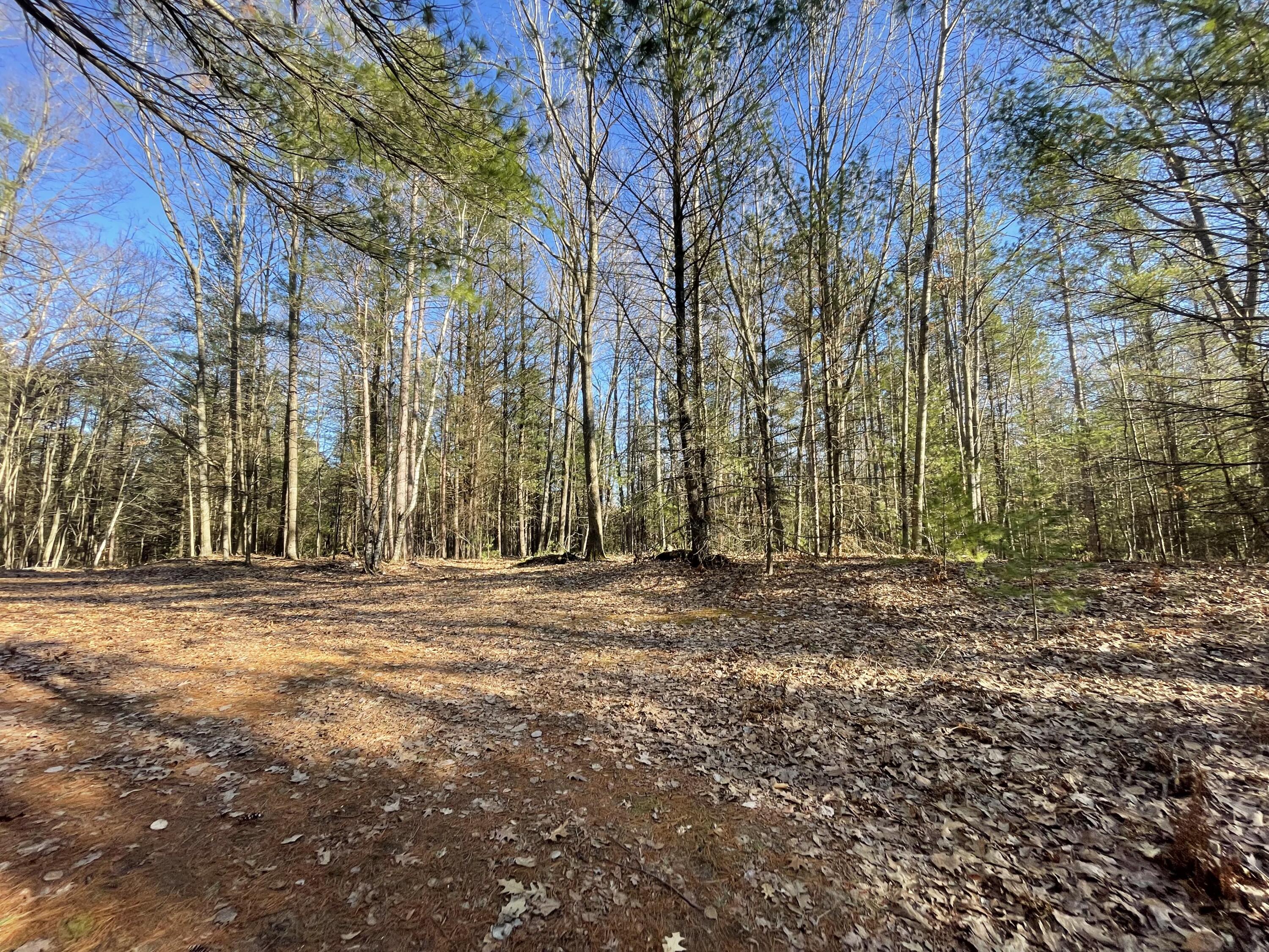 10336 North Stephens Road Free Soil, MI 49411 - Photo 4 of 47 3