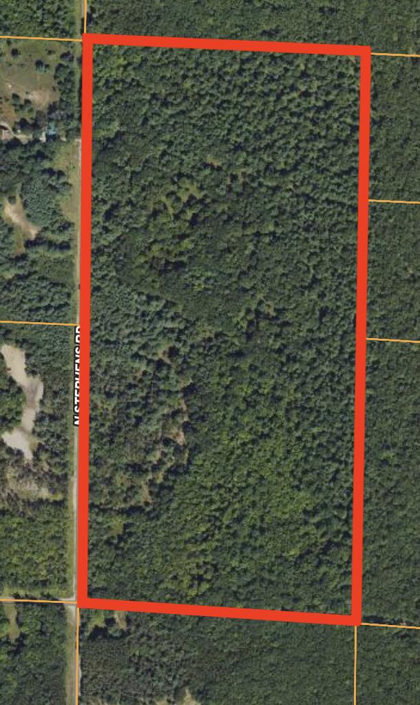 10336 North Stephens Road Free Soil, MI 49411 - Photo 46 of 47 Aerial Close
