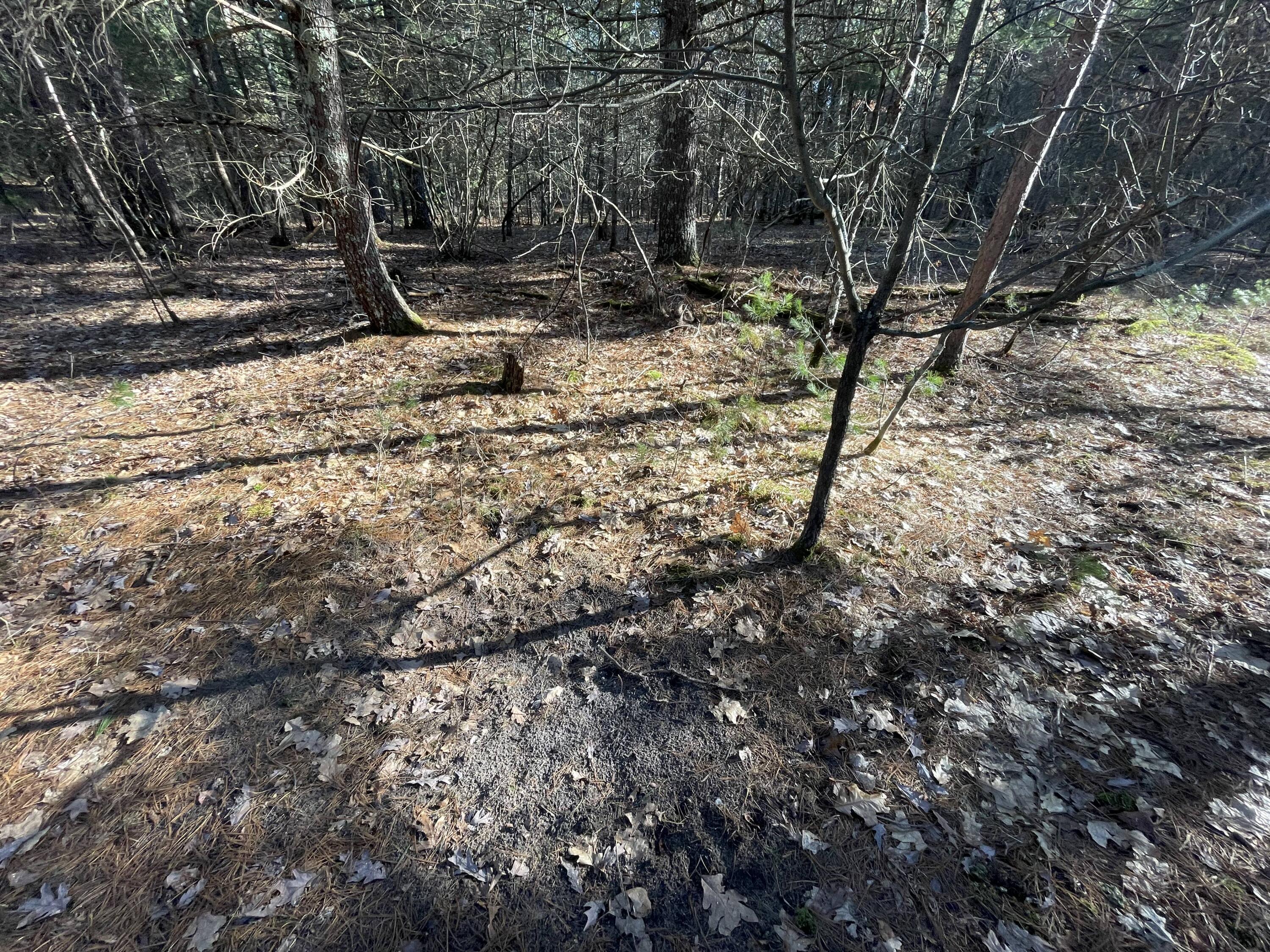 10336 North Stephens Road Free Soil, MI 49411 - Photo 5 of 47 4