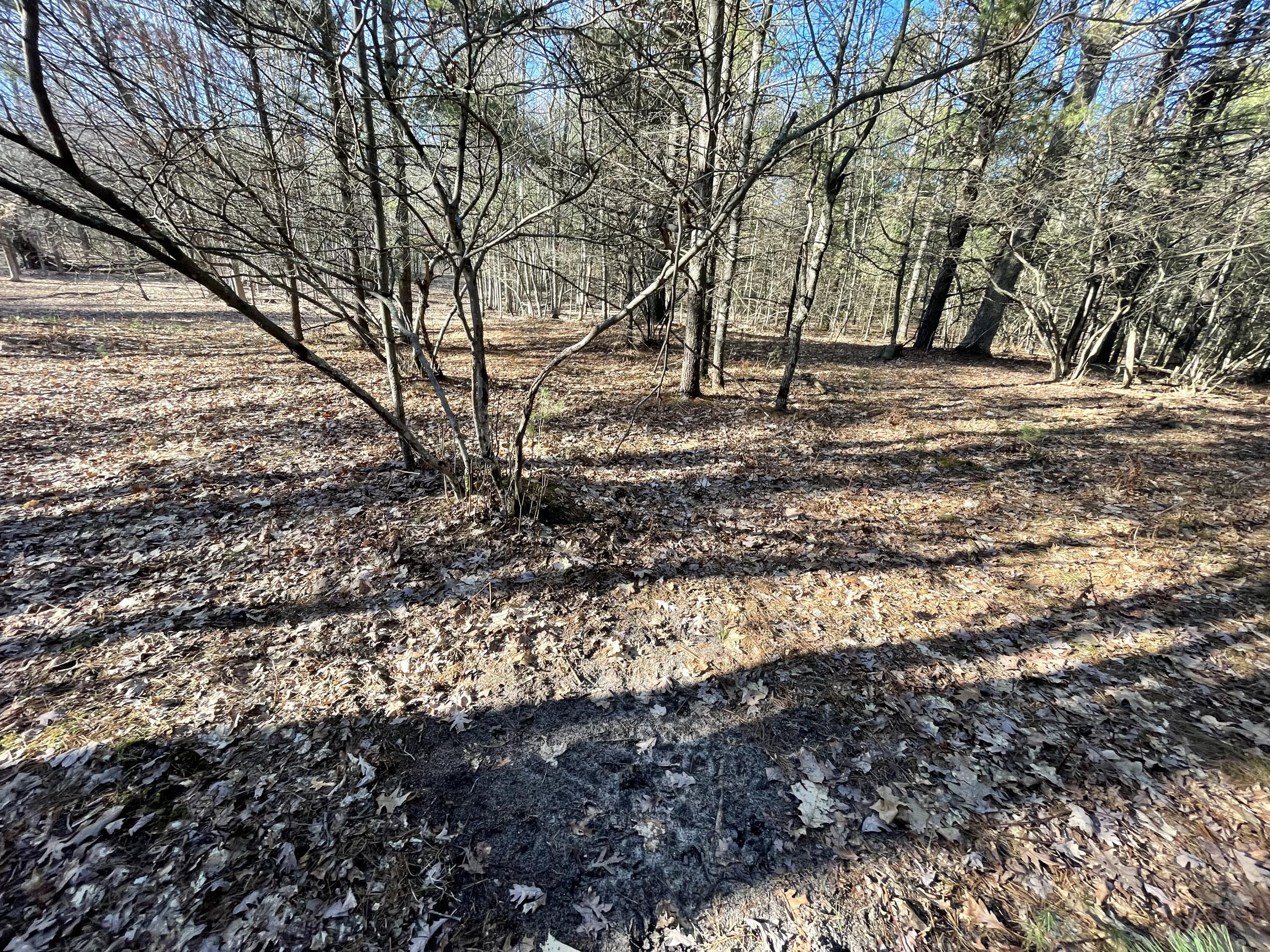 10336 North Stephens Road Free Soil, MI 49411 - Photo 6 of 47 5