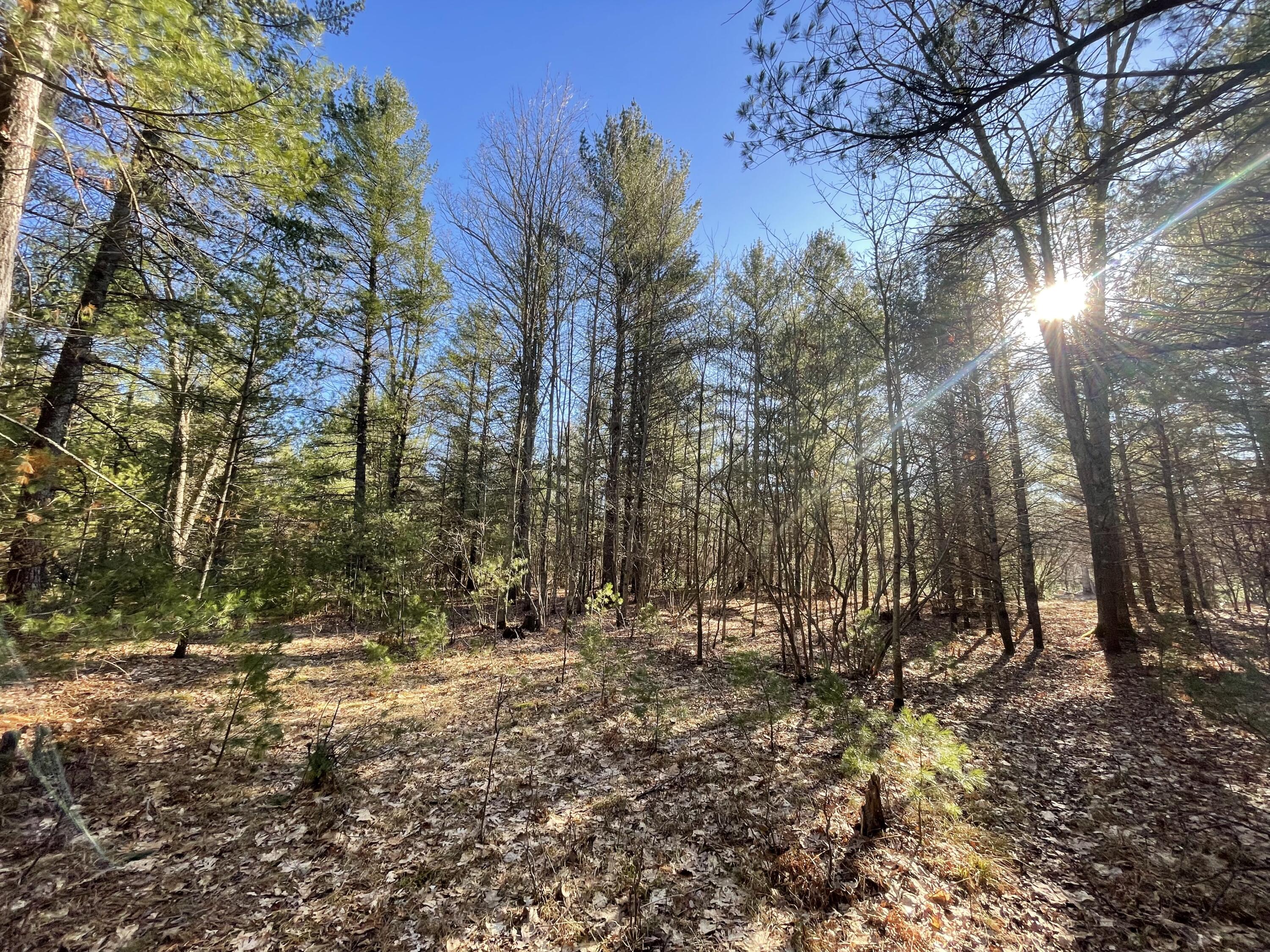 10336 North Stephens Road Free Soil, MI 49411 - Photo 10 of 47 9