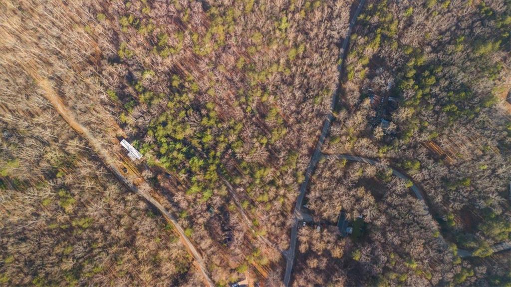 0 Fern Valley Road Dawsonville, GA 30534 - Photo 5 of 10 a view of a tree