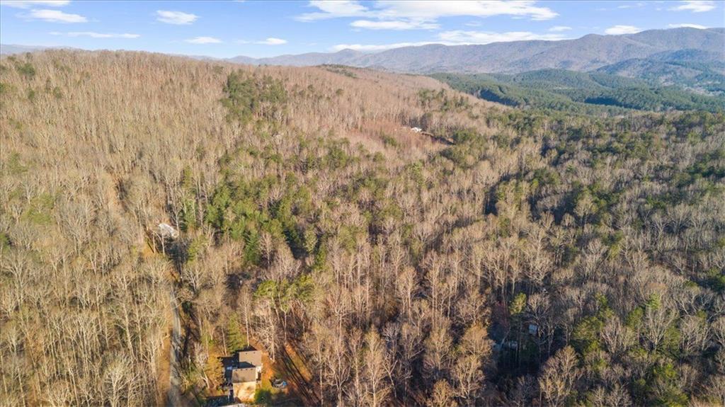 0 Fern Valley Road Dawsonville, GA 30534 - Photo 6 of 10 a view of a dry yard with mountains in the background
