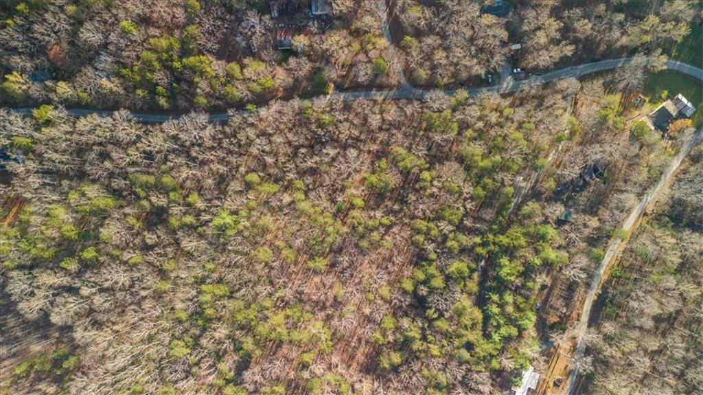 0 Fern Valley Road Dawsonville, GA 30534 - Photo 8 of 10 a view of a tree with a tree