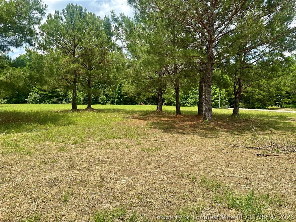 18 Floral Springs Road Lumberton, NC 28360 - Photo 6 of 16