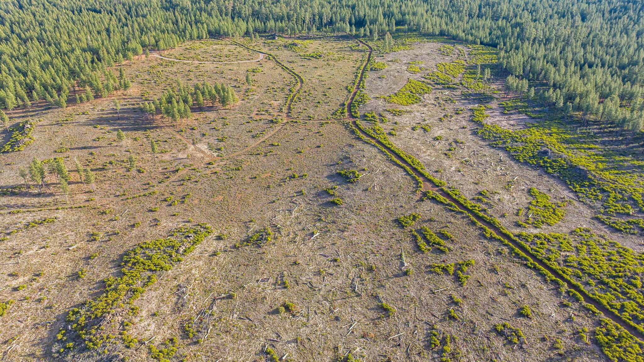 70410 McAllister Road, Unit FS ROAD 2060 Sisters, OR 97759 - Photo 20 of 28
