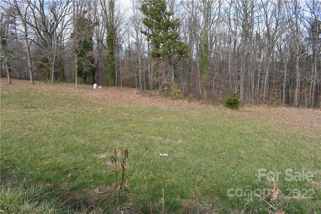 Lot 2 Reeps Grove Church Road Vale, NC 28168 - Photo 5 of 18 a backyard of a house with lots of green space and trees