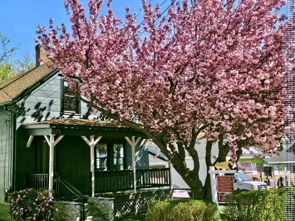 $374,000 | 571 Winter Street, Woonsocket, RI 02895