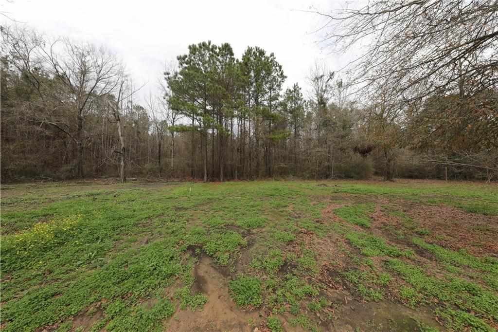 193 Booner Miller Road Deville, LA 71328 - Photo 24 of 25