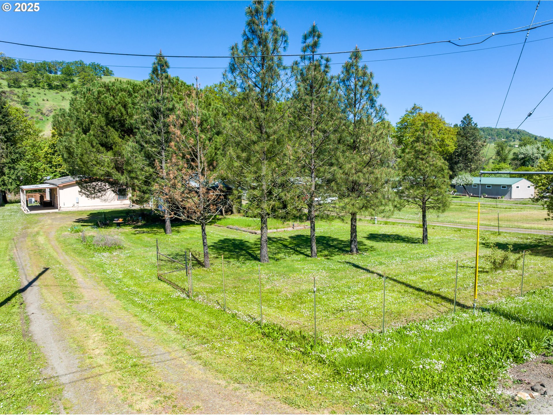 694 Tipton Road Roseburg, OR 97471 - Photo 29 of 36 a view of a park with large trees