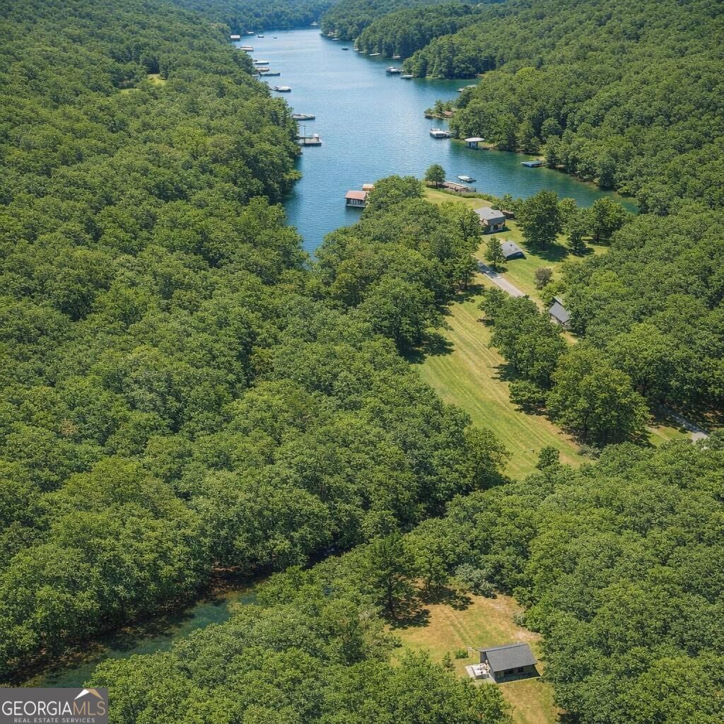 0 South Steel Bridge Road Eatonton, GA 31024 - Photo 4 of 5 Gallery Image 4