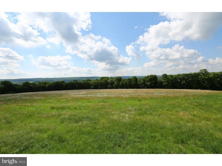 96 Geigel Hill Road Erwinna, PA 18920 - Photo 2 of 5