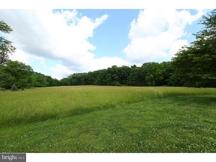 96 Geigel Hill Road Erwinna, PA 18920 - Photo 3 of 5